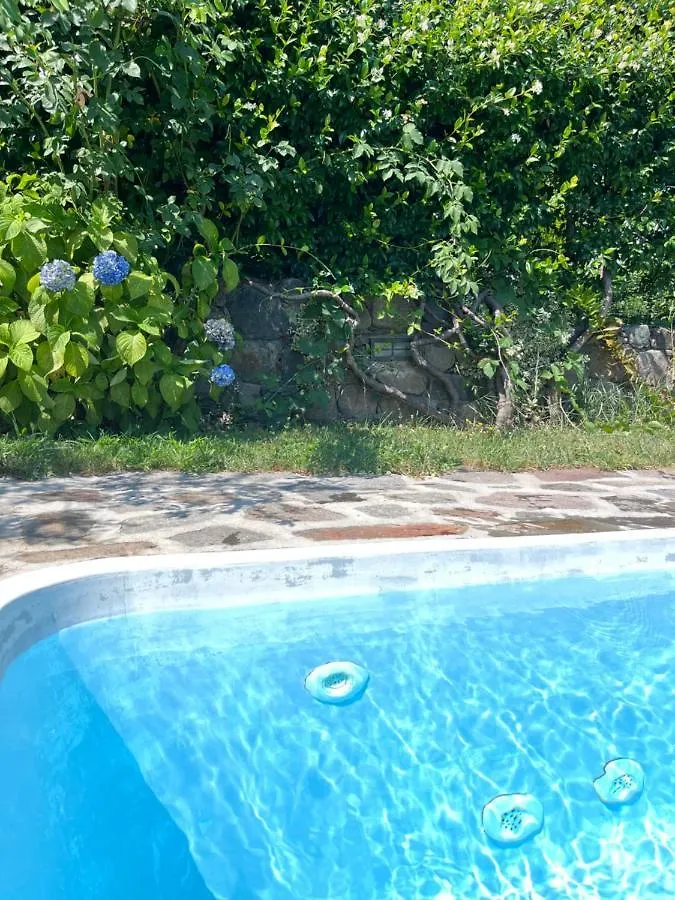 Casa Unica- Da Bruno Apartment Colico 0*,